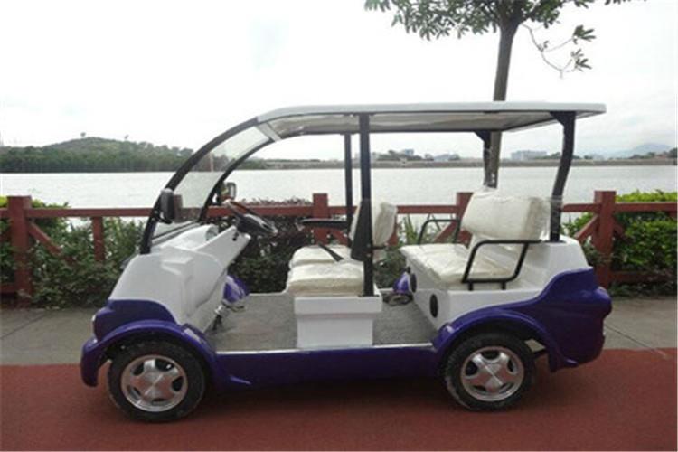 電動(dòng)觀光車(chē)